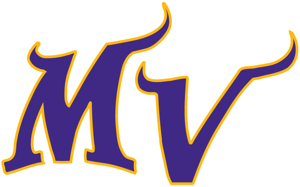 Minnesota Vikings 2004-Pres Alternate Logo DIY iron on transfer (heat transfer)